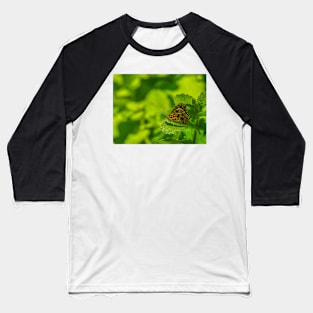 Ringed Xenica Butterfly Baseball T-Shirt